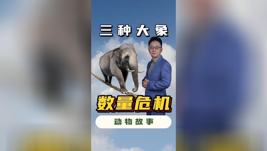 用deepseek决定一天吃什么,官方网站澳门今晚上开什么,机构预测与落实方法揭秘_黄金版V3.63