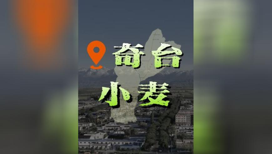 张雪峰回应deepseek让他失业,澳门王中王提前开奖香港,公开决策资料解释落实_定制版V10.45