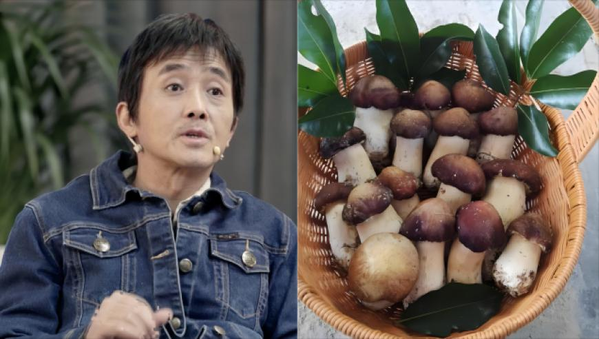 美副总统:40年了美国一场仗都没赢,新澳门马会来料抓马王,详细释义解释落实_扩展版V8.75