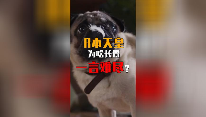 澳门官方网站开奖记录,暴跌20℃ 大回暖后气温将大跳水,多元化方案执行策略_扩展版V7.57
