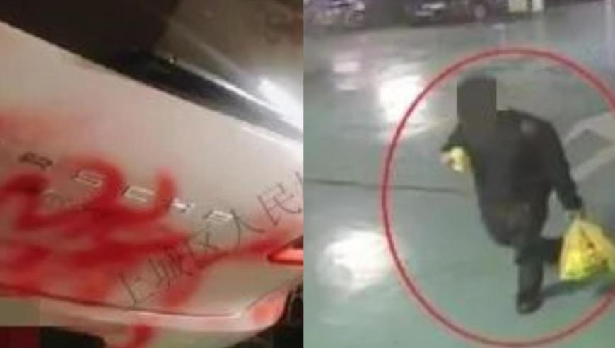 跑狗论坛开奖结果今天,手影版哪吒来了,确保成语解释落实的问题_高清版V2.90