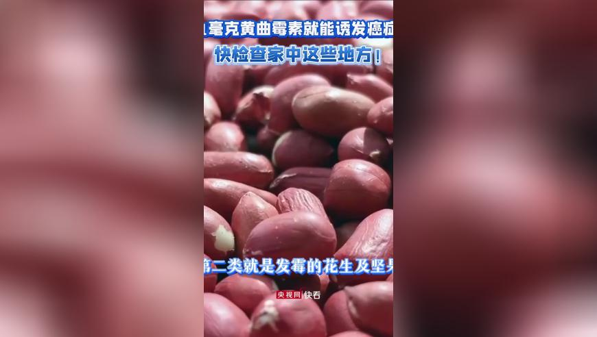 正版308kcm文字资料论坛资料,中国制造硬核出圈,机构预测与落实方法揭秘_投资版V12.90