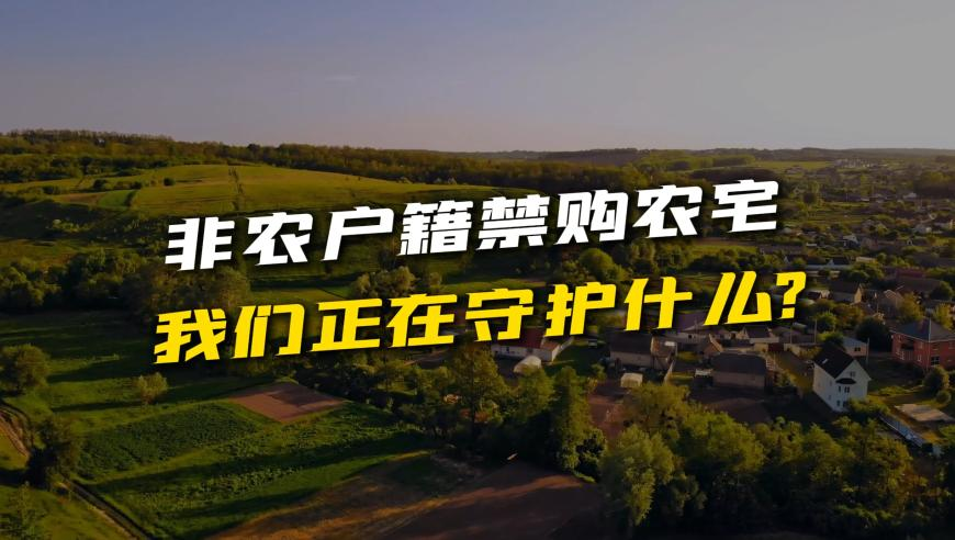 管家婆精准的2025第136期的特码生肖,全面开花 中国队迎亚冬会百金里程碑,最新核心解答落实_iPadV8.92
