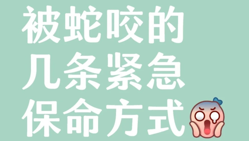 九龙内慕资料大全网内慕资料,北京楼市出现积极信号,经济性执行方案剖析_标配版V14.70